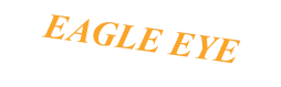 EAGLE EYE